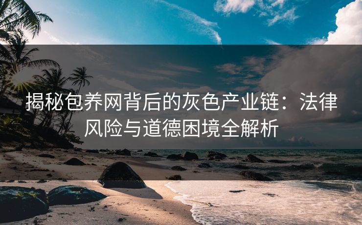 揭秘包养网背后的灰色产业链：法律风险与道德困境全解析