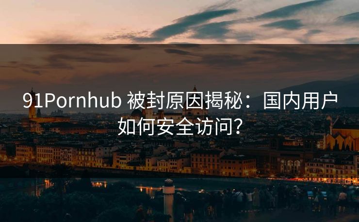 91Pornhub 被封原因揭秘：国内用户如何安全访问？