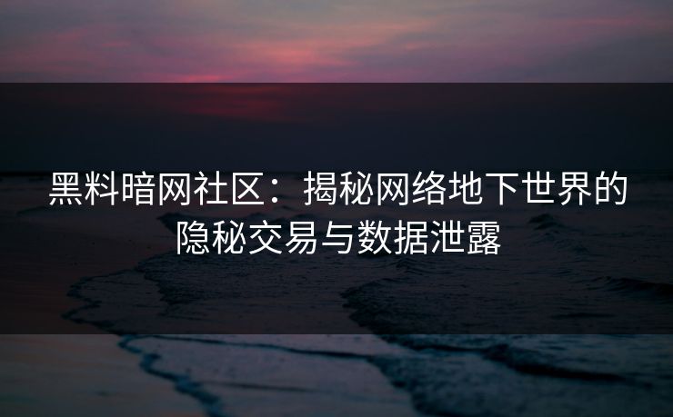 黑料暗网社区:揭秘网络地下世界的隐秘交易与数据泄露